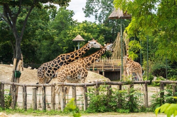 Budapest Zoo & Botanical Garden